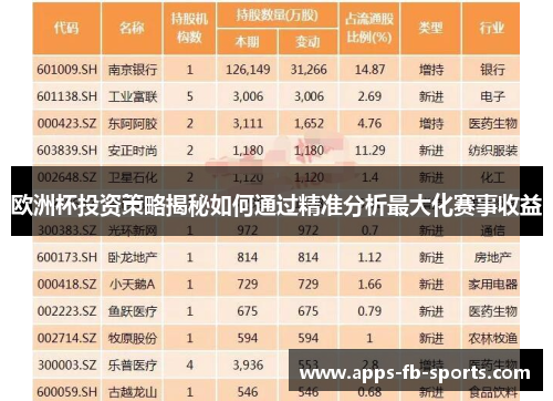 欧洲杯投资策略揭秘如何通过精准分析最大化赛事收益