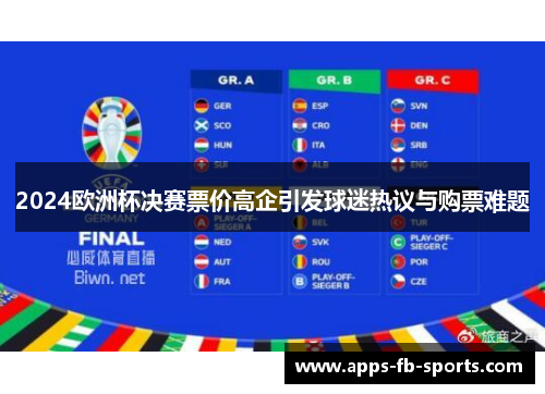 2024欧洲杯决赛票价高企引发球迷热议与购票难题